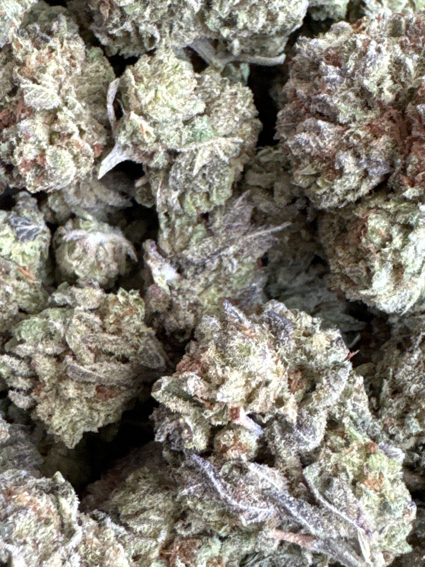 Frosted Flakes