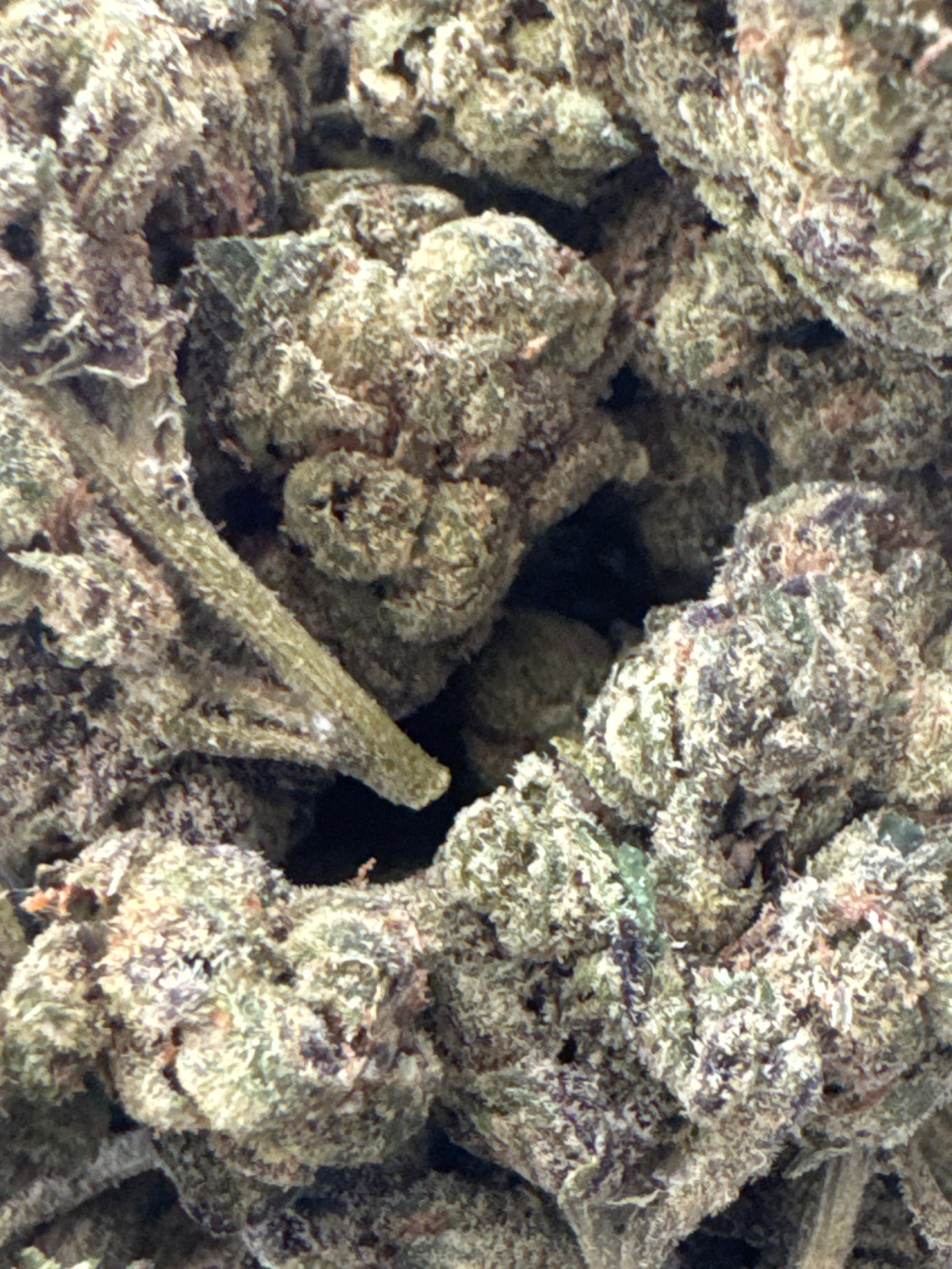 NoHo Gelato